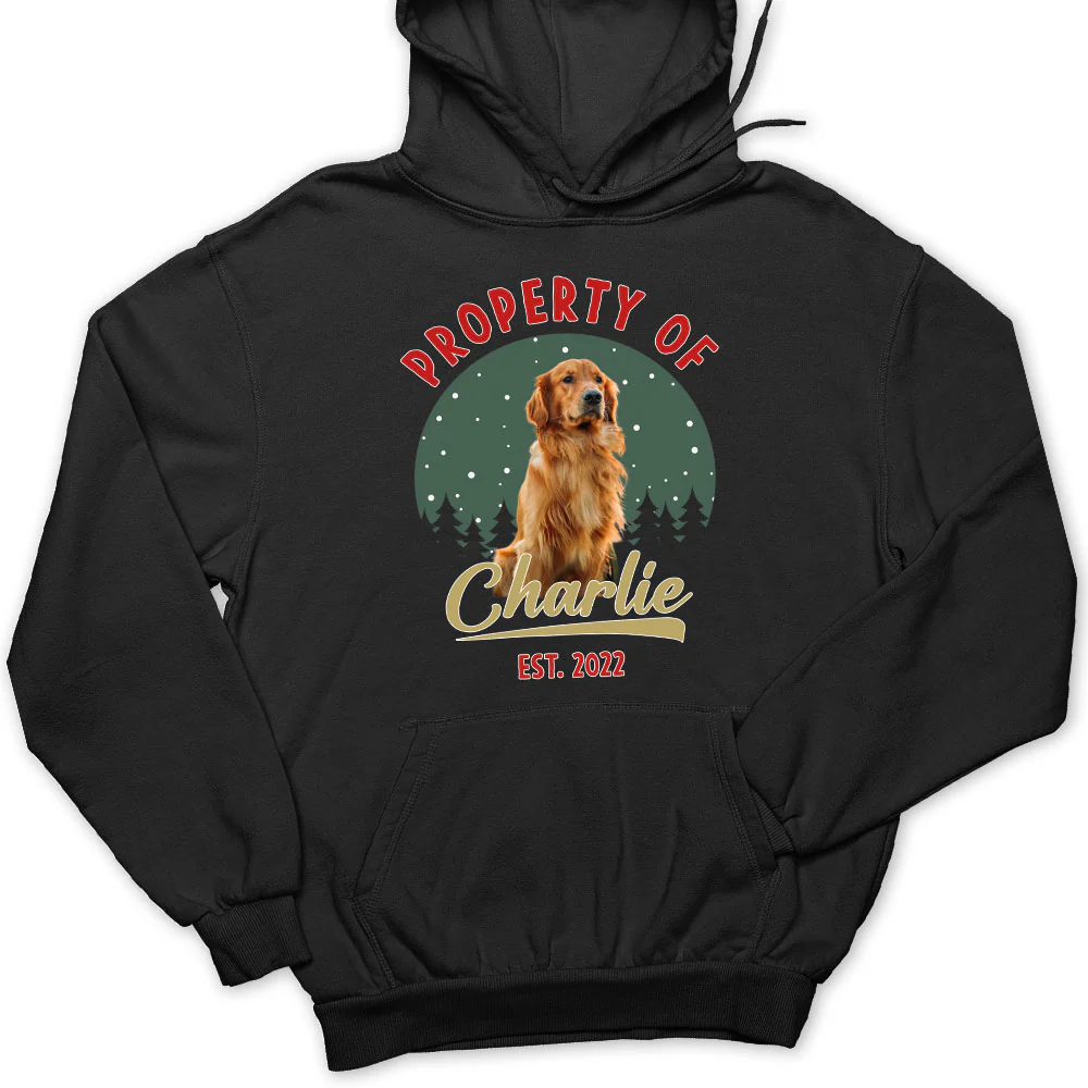Property Of Funny Dogs Photo - Personalized Custom Hoodie