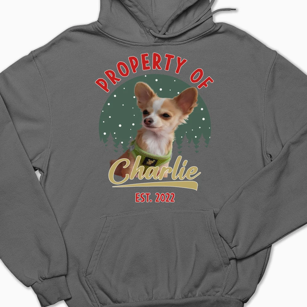 Property Of Funny Dogs Photo - Personalized Custom Hoodie - Image 10