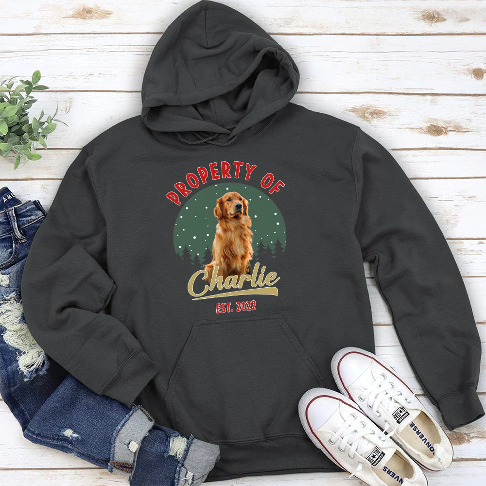 Property Of Funny Dogs Photo - Personalized Custom Hoodie - Image 3