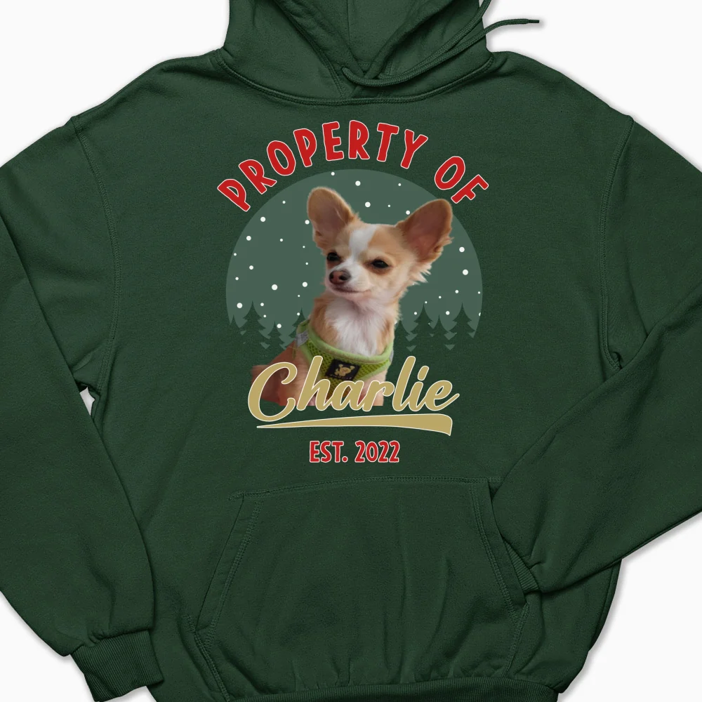 Property Of Funny Dogs Photo - Personalized Custom Hoodie - Image 8