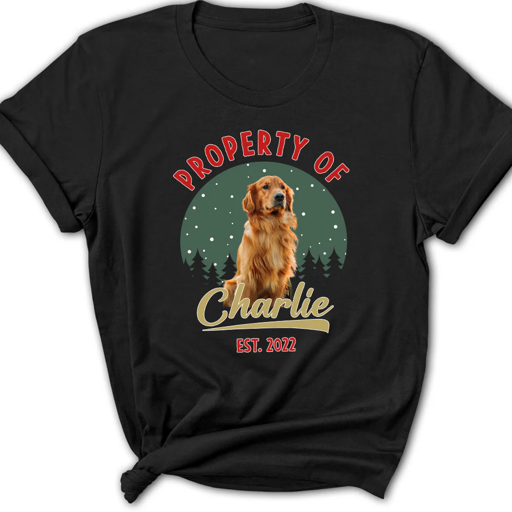 Property Of Funny Dogs Photo - Personalized Custom Women T-Shirt