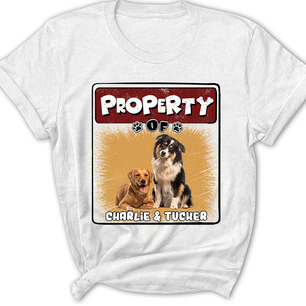 Property Of Story Dog Photo - Personalized Custom Women's T-Shirt