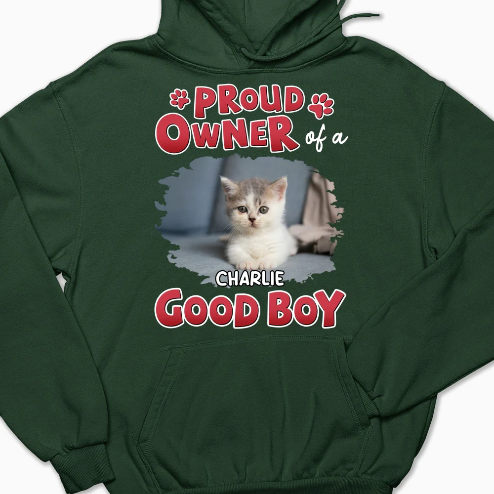 Proud Owner Of Good Cats Photo - Personalized Custom Hoodie - Image 6