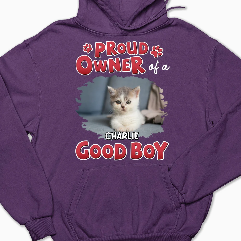 Proud Owner Of Good Cats Photo - Personalized Custom Hoodie - Image 7