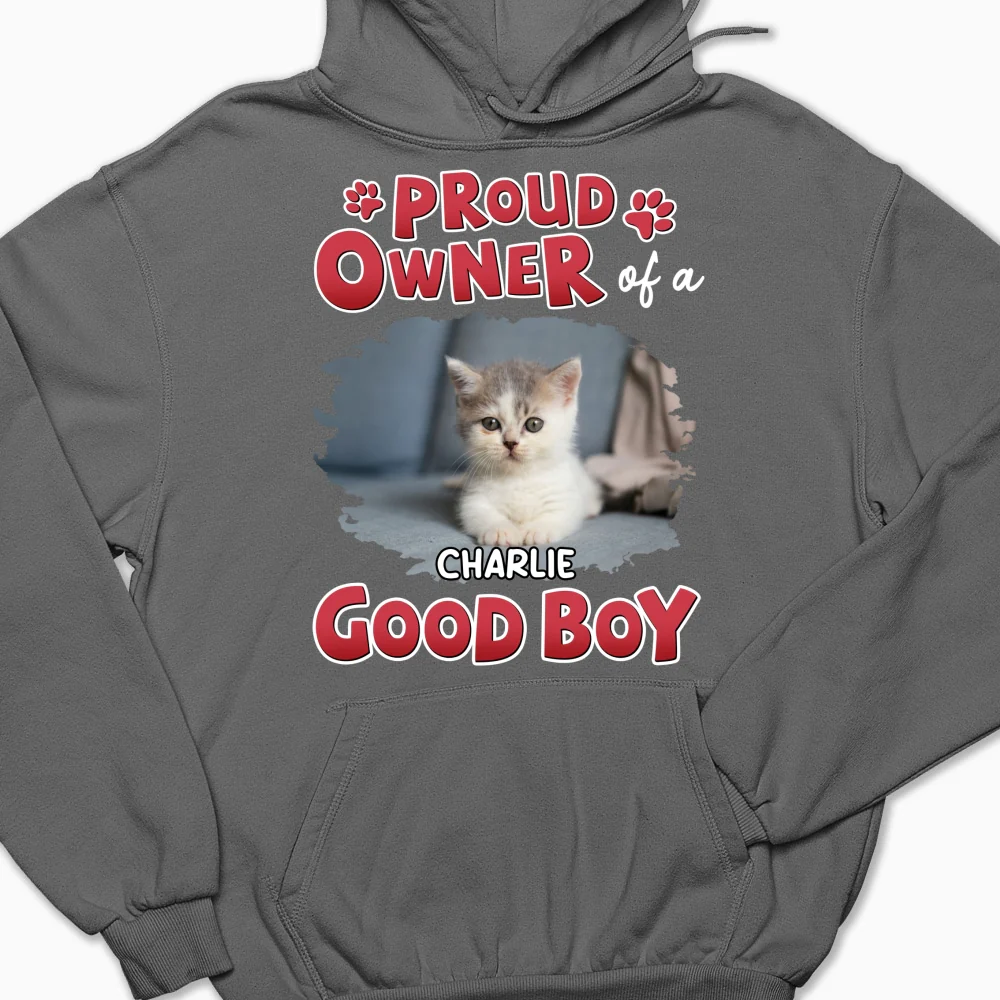 Proud Owner Of Good Cats Photo - Personalized Custom Hoodie - Image 8