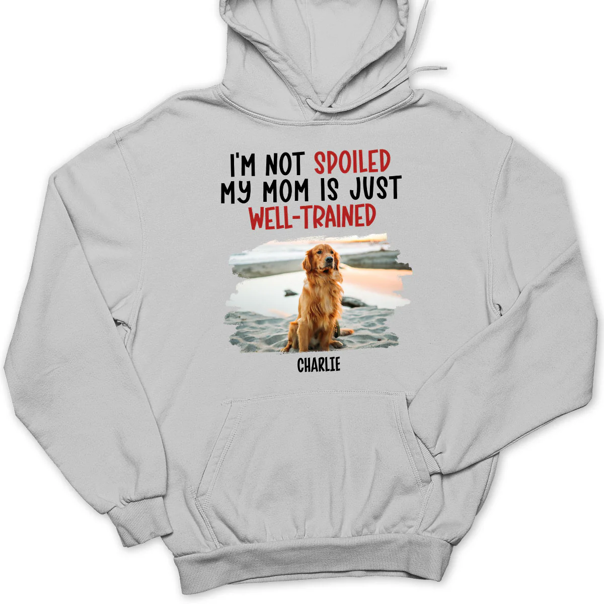 Spoiled Dog And Well Trained Dad Mom Cartoon Photo -Personalized Custom Hoodie