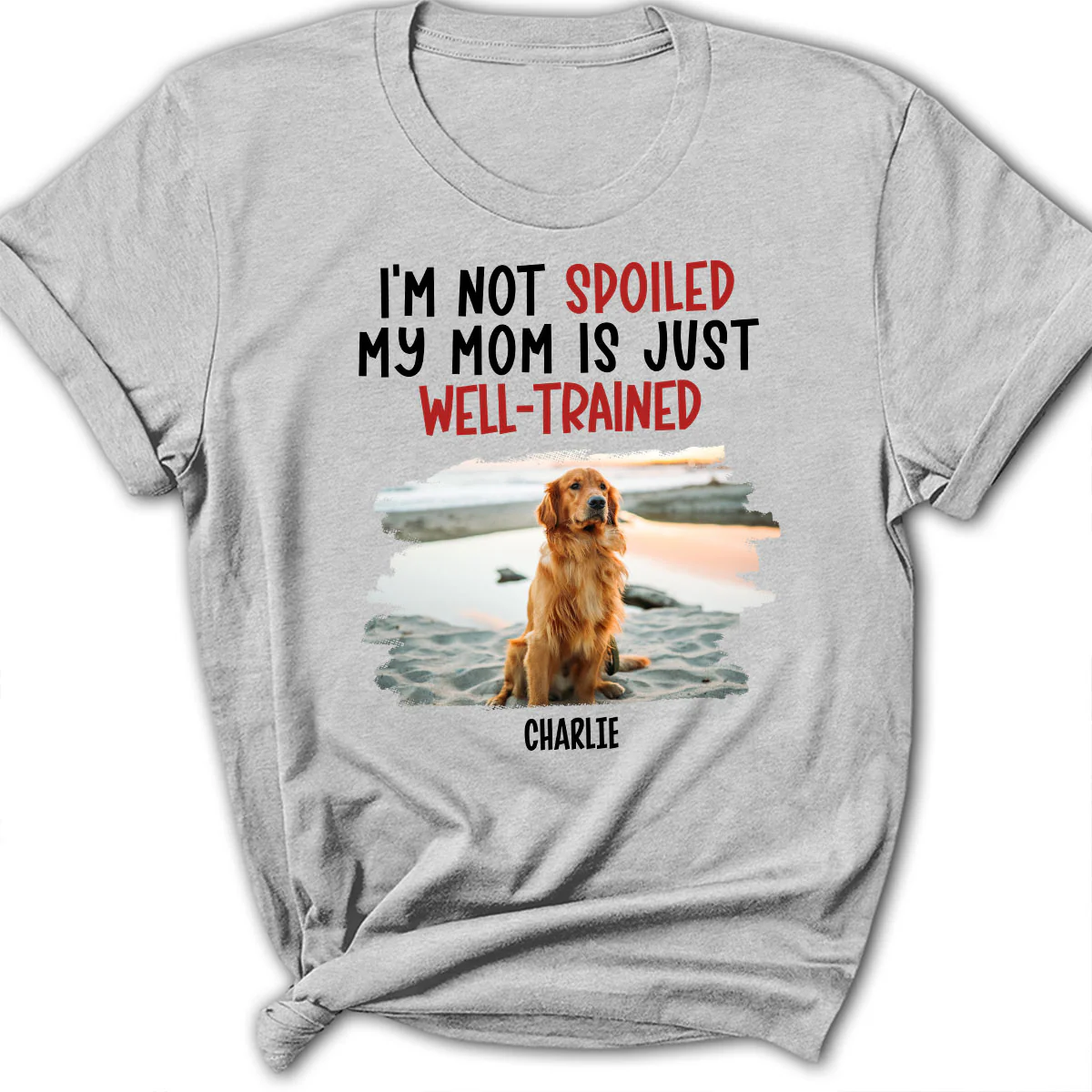 Spoiled Dog And Well Trained Dad Mom Cartoon Photo - Personalized Custom Women's T-Shirt