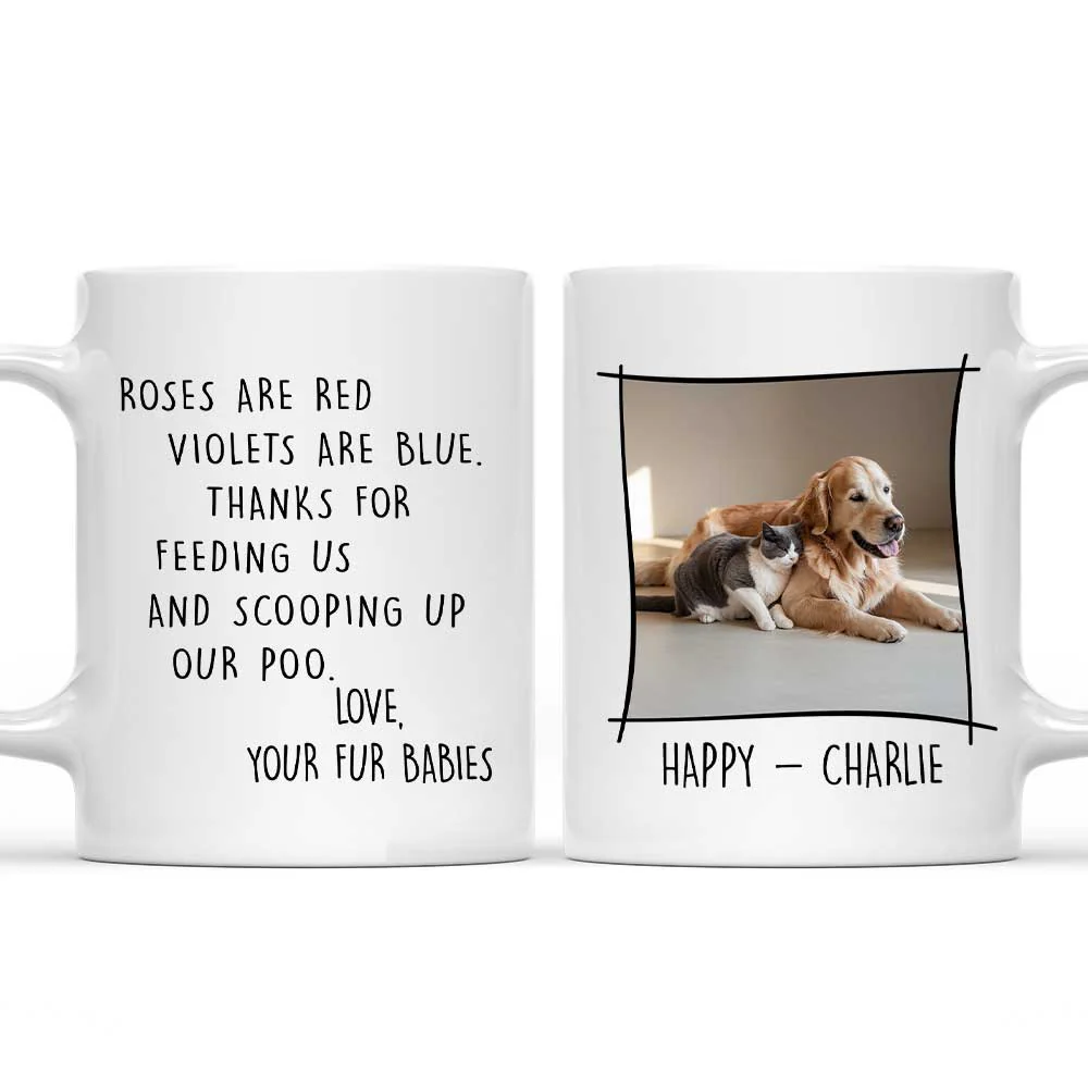 Thank You For Scooping My Poo Ver Photo - Personalized Custom Coffee Mug