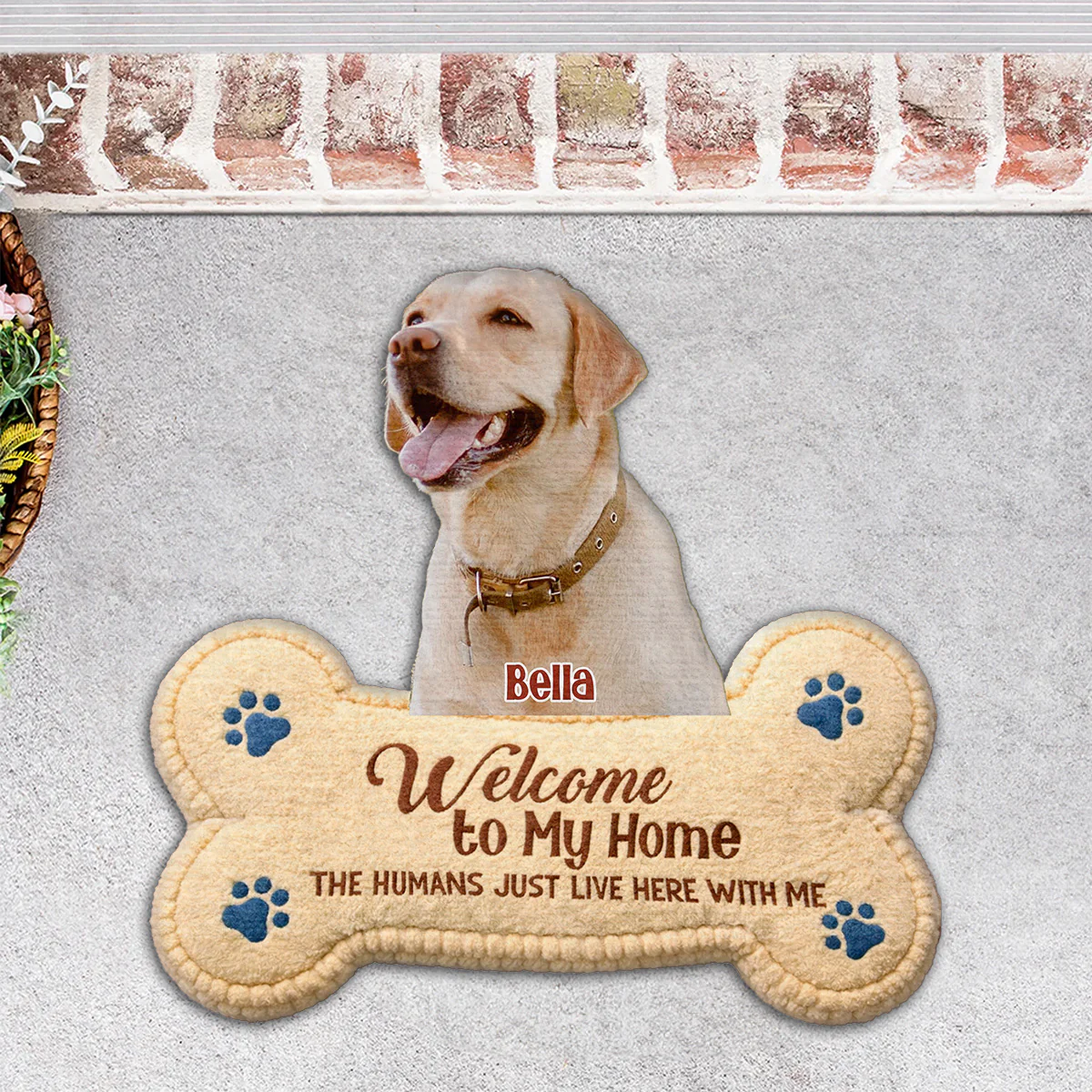 The Humans Live With Lovely Dogs Photo - Personalized Custom Doormat