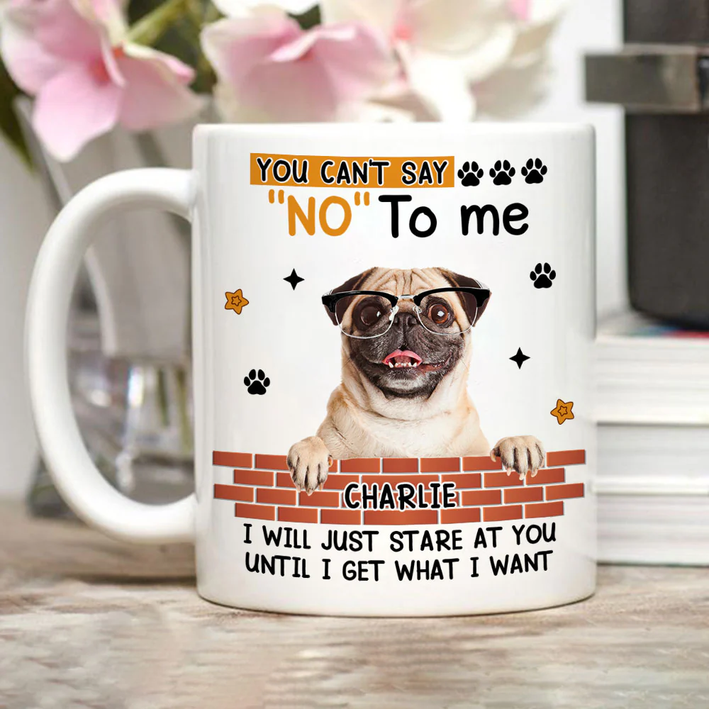Till I Get What I Want Photo - Personalized Custom Coffee Mug