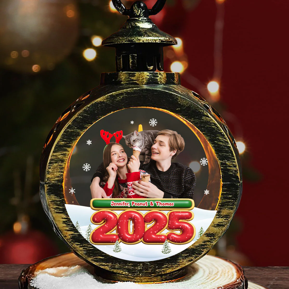 We And Our Cat Photo - Personalized Custom Christmas Lantern