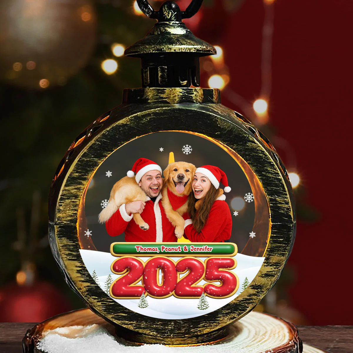 We And Our Pet Photo - Personalized Custom Christmas Lantern