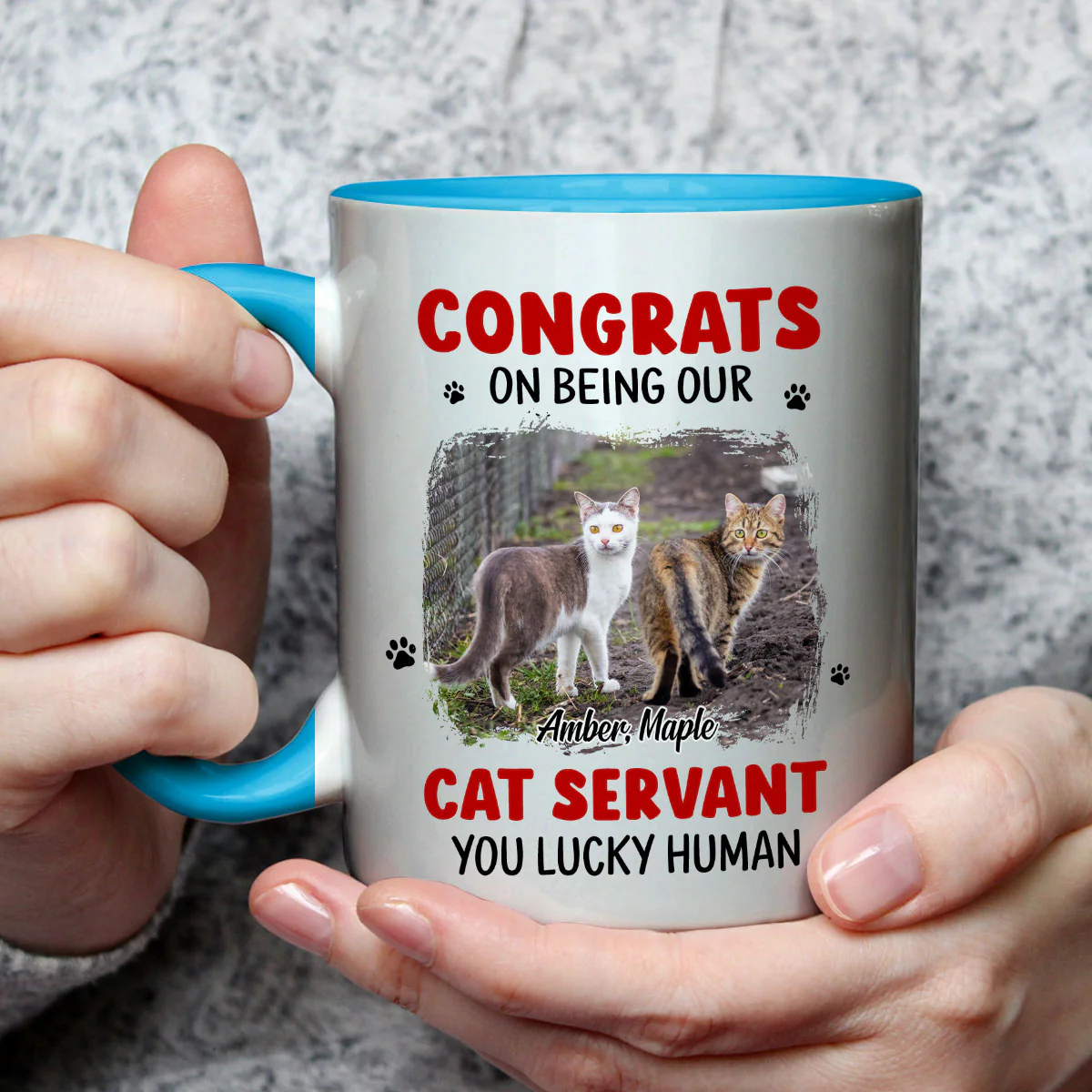 You Lucky Hooman Cat Servant Photo - Personalized Custom Accent Mug - Image 2