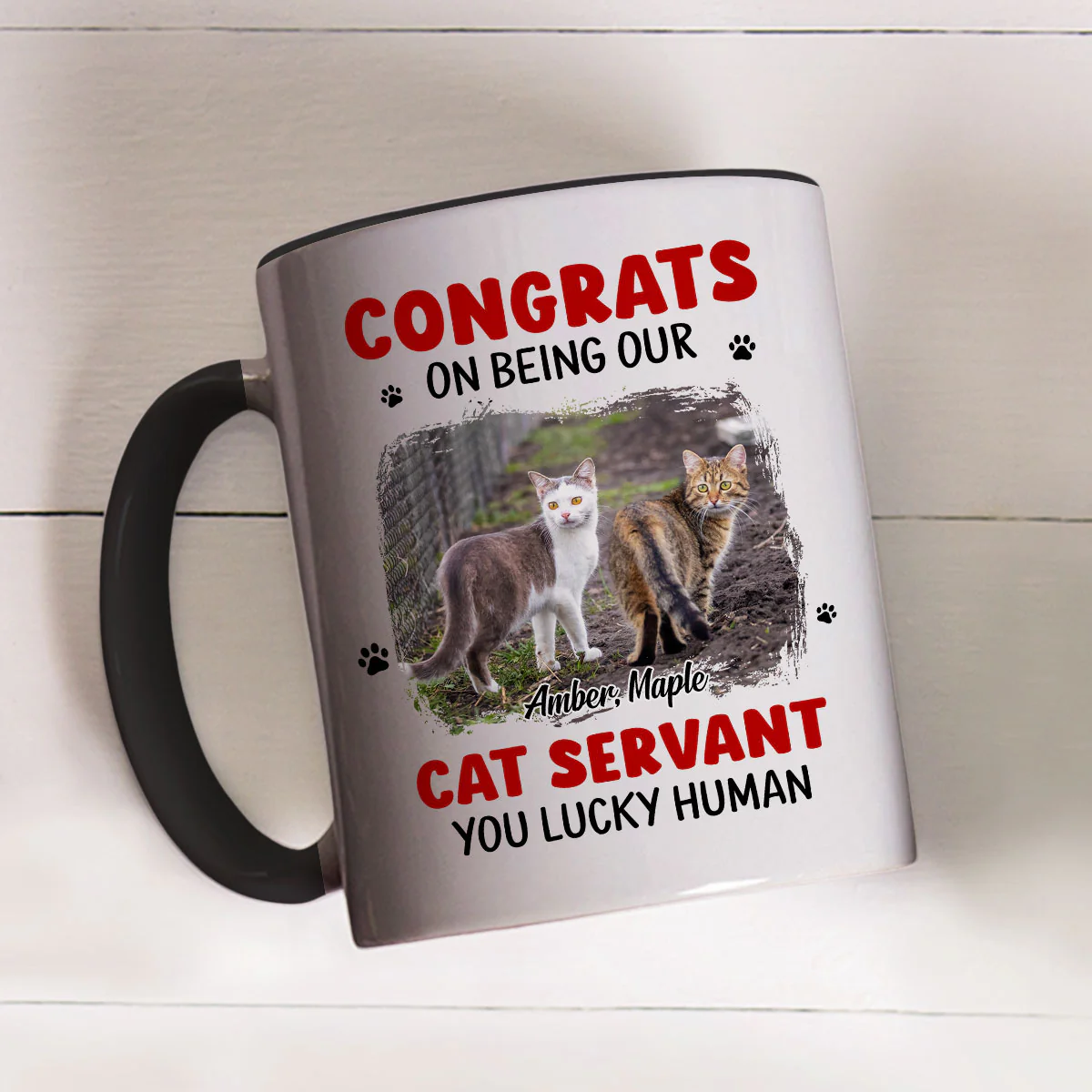 You Lucky Hooman Cat Servant Photo - Personalized Custom Accent Mug - Image 3