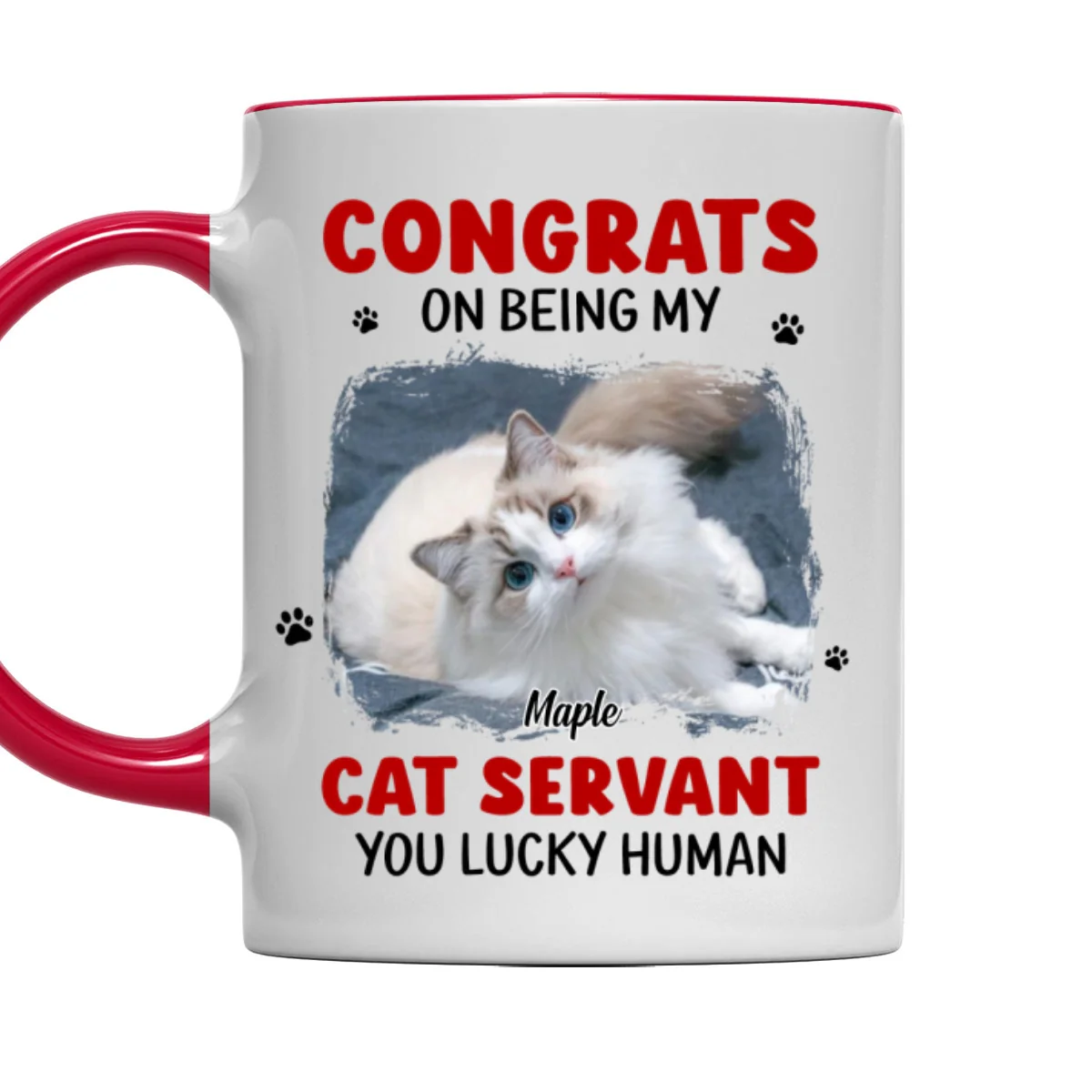 You Lucky Hooman Cat Servant Photo - Personalized Custom Accent Mug - Image 6